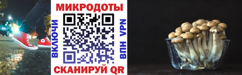 наркотики Кисловодск Псилоцибиновые грибы мицелий